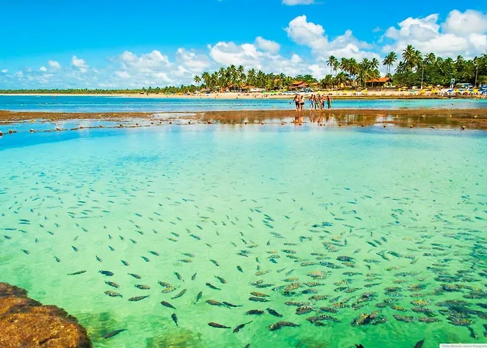 Green Porto Beach – Conforto no Coração de Pôrto das Galinhas